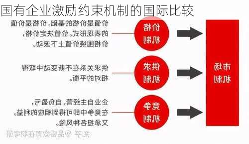国有企业激励约束机制的国际比较