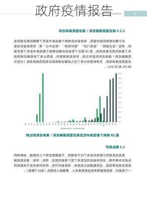 政府疫情报告