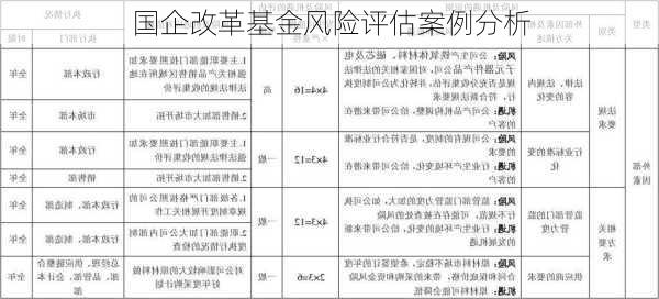 国企改革基金风险评估案例分析