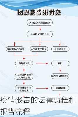 疫情报告的法律责任和报告流程