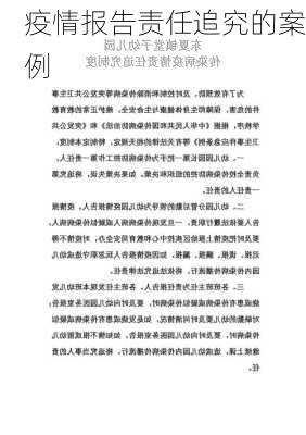 疫情报告责任追究的案例