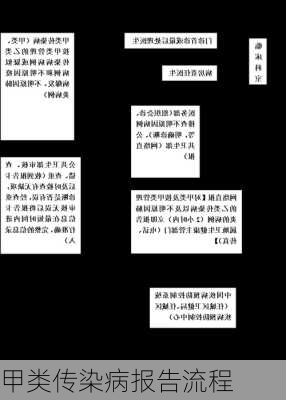 甲类传染病报告流程