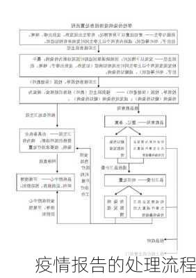 疫情报告的处理流程