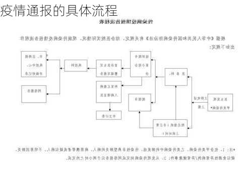 疫情通报的具体流程