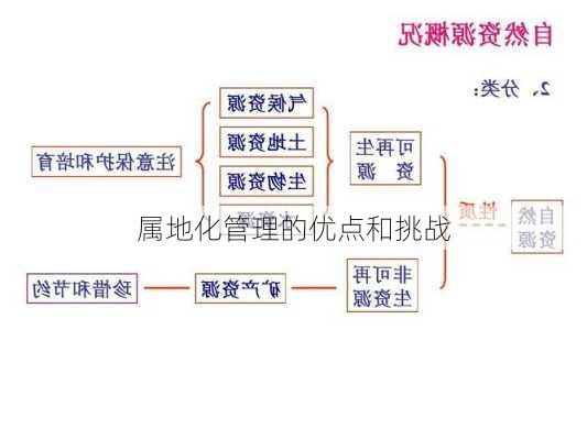 属地化管理的优点和挑战