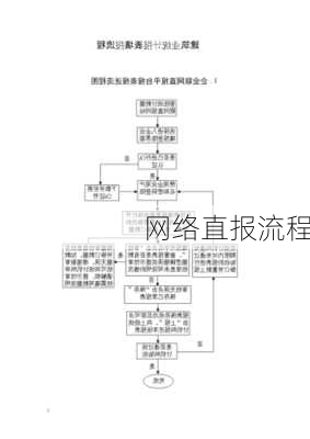 网络直报流程