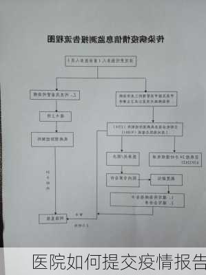 医院如何提交疫情报告