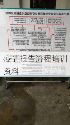 疫情报告流程培训资料
