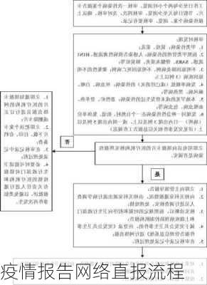 疫情报告网络直报流程