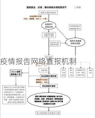 疫情报告网络直报机制