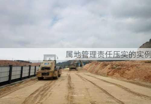 属地管理责任压实的实例