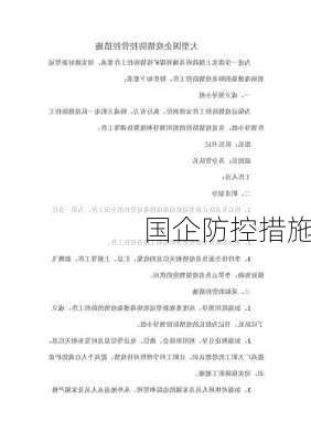 国企防控措施
