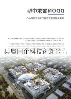 县属国企科技创新能力