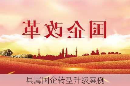 县属国企转型升级案例