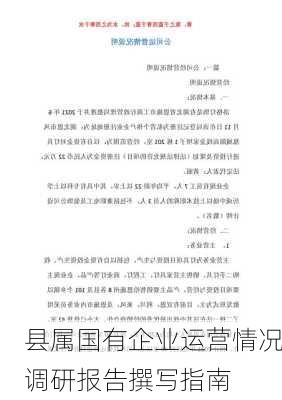 县属国有企业运营情况调研报告撰写指南