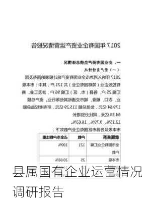 县属国有企业运营情况调研报告