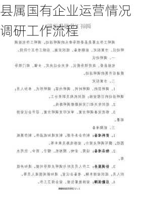 县属国有企业运营情况调研工作流程