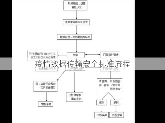 疫情数据传输安全标准流程