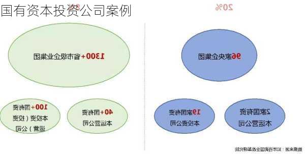 国有资本投资公司案例