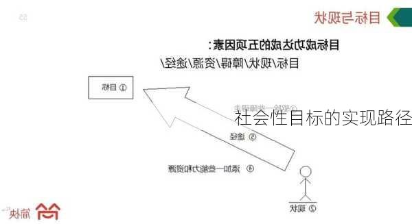 社会性目标的实现路径
