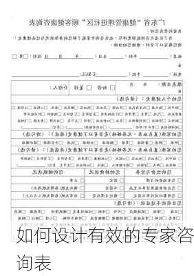 如何设计有效的专家咨询表