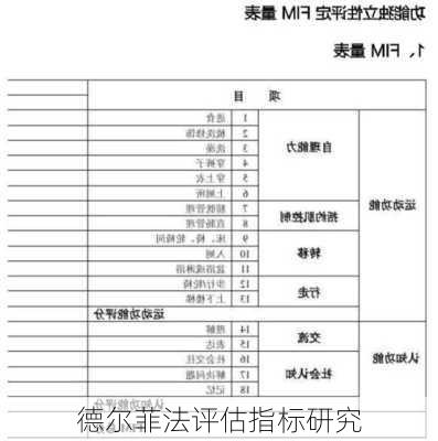 德尔菲法评估指标研究
