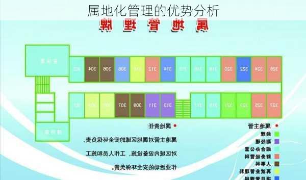 属地化管理的优势分析