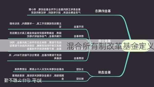 混合所有制改革基金定义
