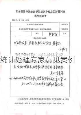 统计处理专家意见案例
