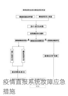 疫情直报系统故障应急措施
