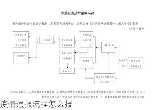 疫情通报流程怎么报