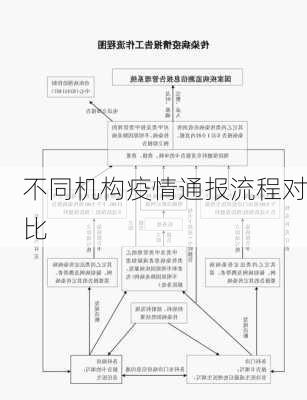 不同机构疫情通报流程对比