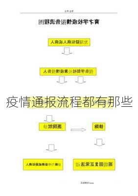 疫情通报流程都有那些