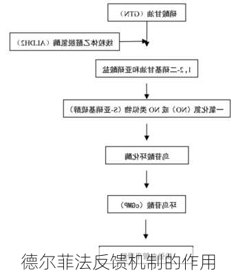 德尔菲法反馈机制的作用