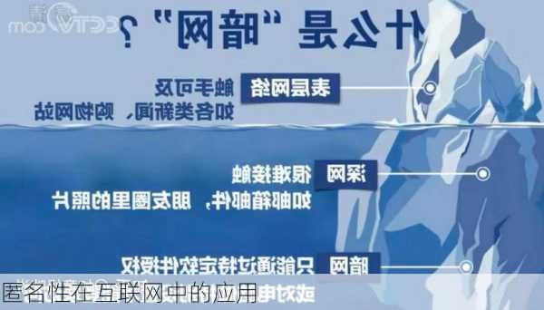 匿名性在互联网中的应用