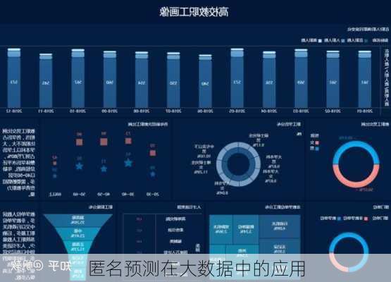 匿名预测在大数据中的应用