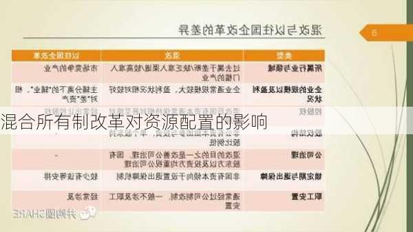 混合所有制改革对资源配置的影响