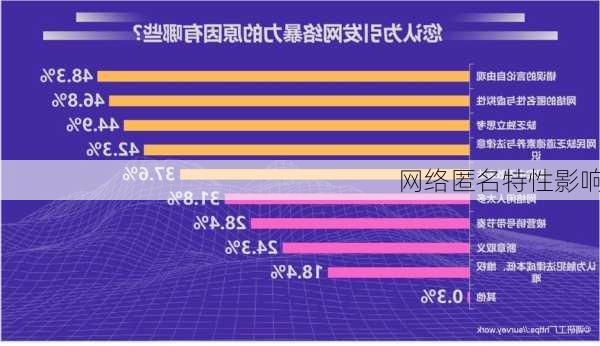 网络匿名特性影响