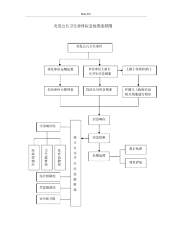 突发公共卫生事件的应急处理