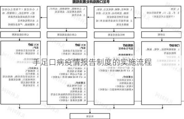 手足口病疫情报告制度的实施流程