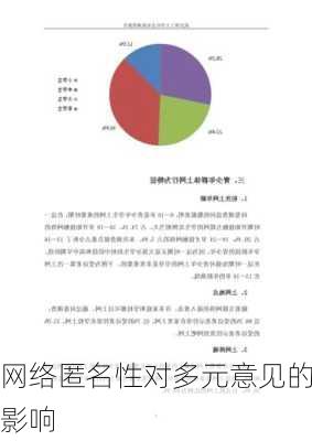 网络匿名性对多元意见的影响