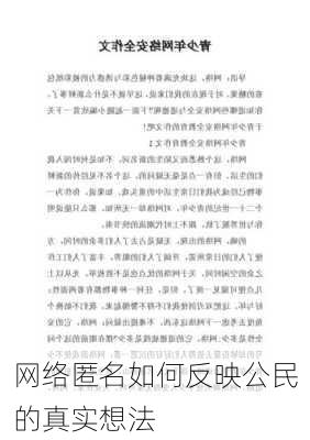 网络匿名如何反映公民的真实想法