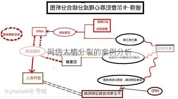 网络人格分裂的案例分析