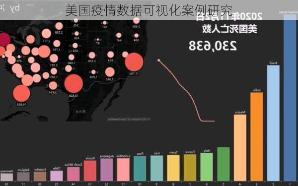 美国疫情数据可视化案例研究