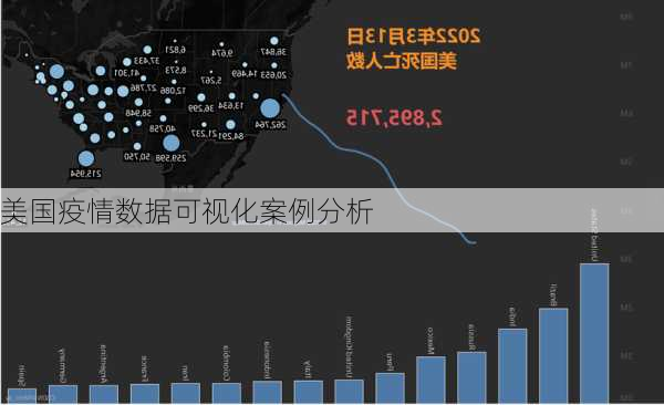 美国疫情数据可视化案例分析