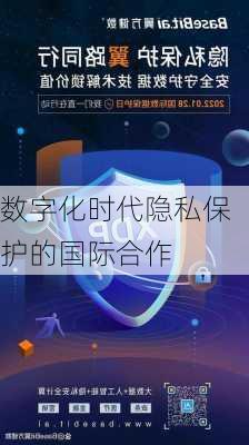 数字化时代隐私保护的国际合作