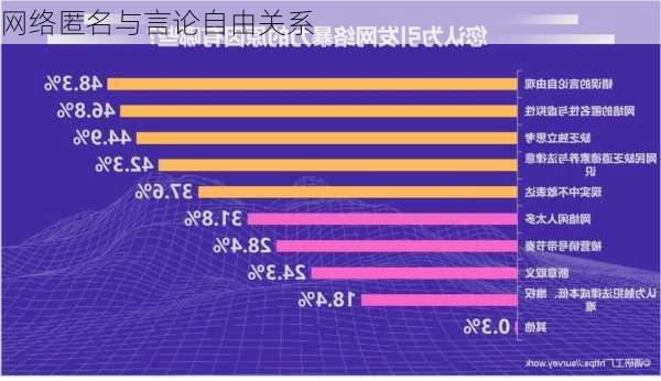 网络匿名与言论自由关系
