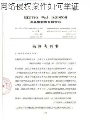 网络侵权案件如何举证