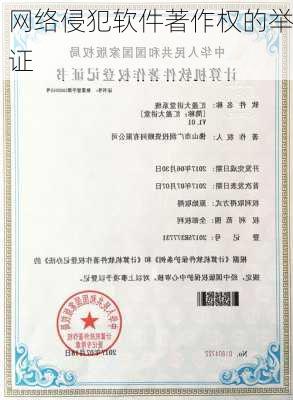 网络侵犯软件著作权的举证