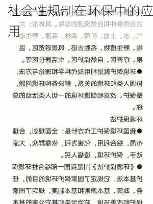 社会性规制在环保中的应用